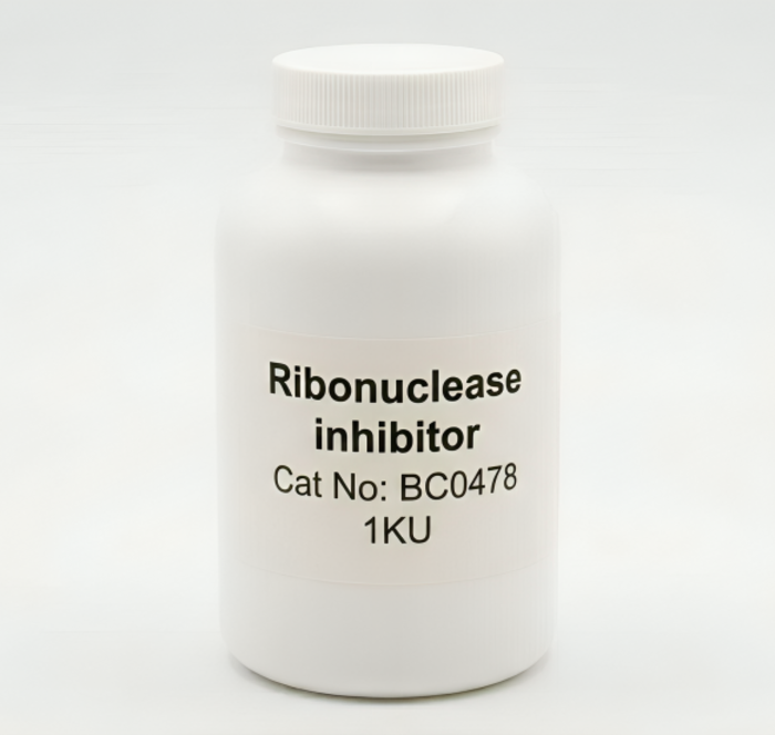 BC0478 Ribonuclease Inhibitor for RNA Protection