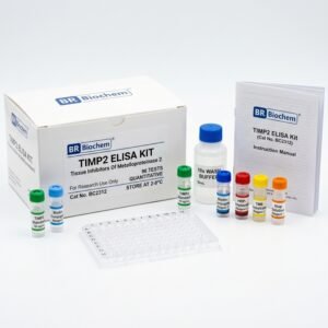 BC2312 TIMP2 ELISA Kit 96 Test Human Rat Mouse Cattle
