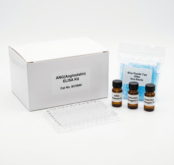 Rat Angiostatin ELISA Kit 96 Tests BC5990
