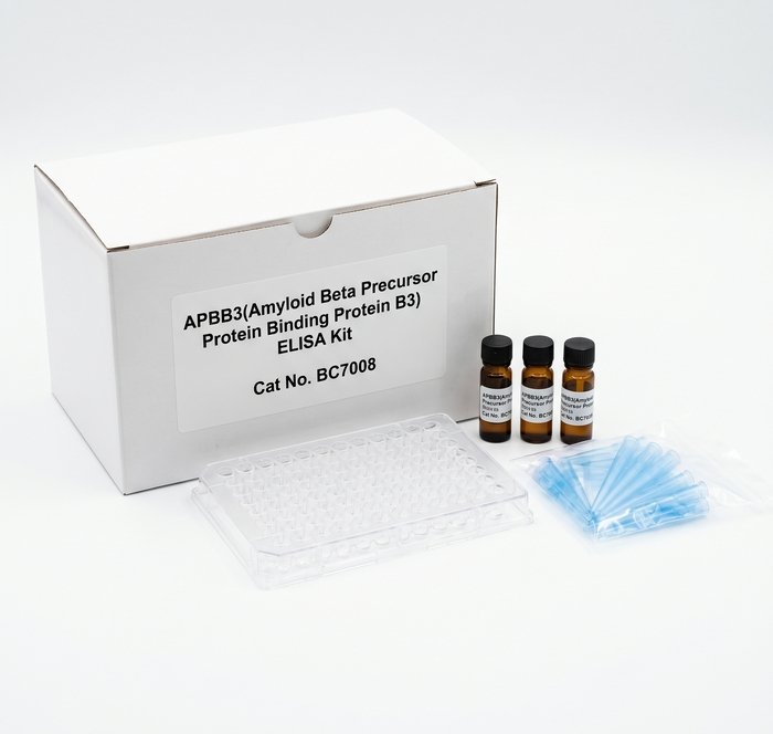 Rat APBB3 ELISA Kit 96 Test BC7008