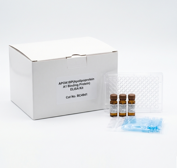 BC4941 APOA1BP ELISA Kit 96 Tests