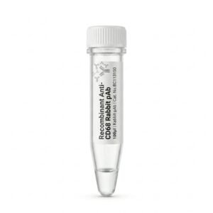 Anti-CD68 Rabbit Polyclonal Antibody 100ul