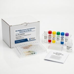 MCAM ELISA Kit BC2142 Human and Mouse