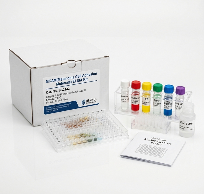 MCAM ELISA Kit BC2142 Human and Mouse