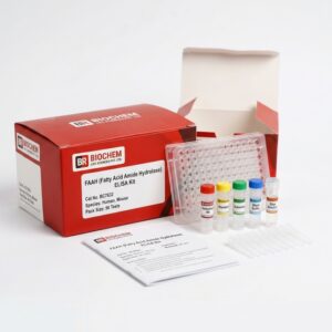 BC7632 FAAH ELISA Kit - Human and Mouse