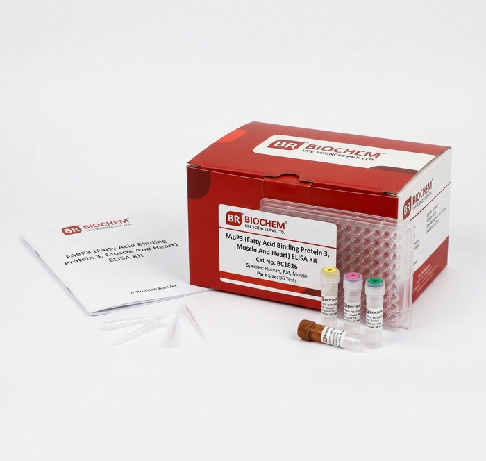 FABP3 ELISA Kit Human Rat Mouse 96 Tests