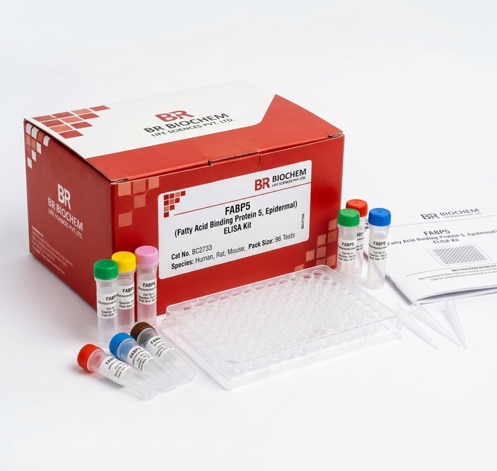 FABP5 ELISA Kit BC2733 Human Rat Mouse 96 Test