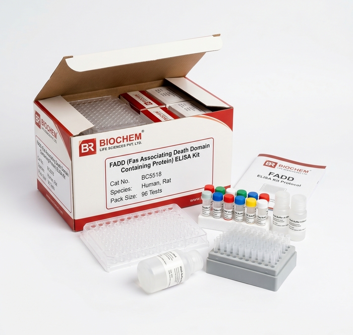 FADD ELISA Kit 96 Test - Human and Rat Compatible