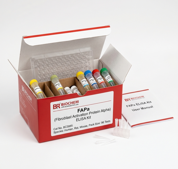 BC3985 FAPa ELISA Kit for Human Rat and Mouse Detection