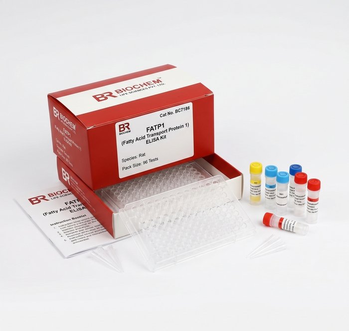 FATP1 ELISA Kit for Rat - 96 Test BC7186