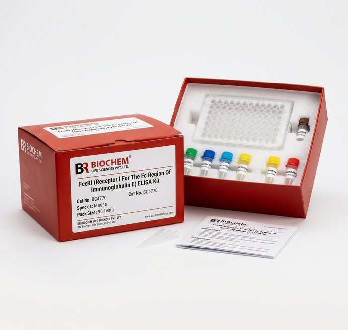 Mouse FceRI ELISA Kit 96 Test BC4770