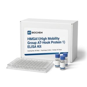 BC3463 HMGA1 ELISA Kit 96 Test Human Rat