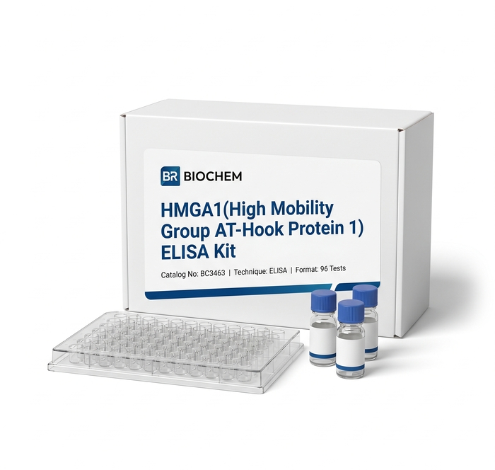 BC3463 HMGA1 ELISA Kit 96 Test Human Rat