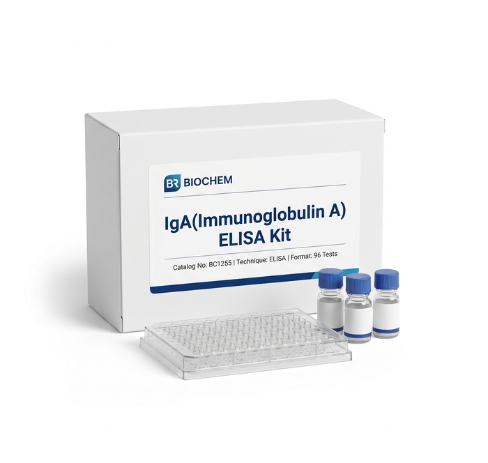 BC1255 IgA ELISA Kit - 96 Test High Sensitivity Assay