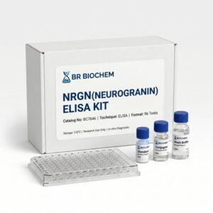 BC7646 NRGN Neurogranin ELISA Kit 96 Tests