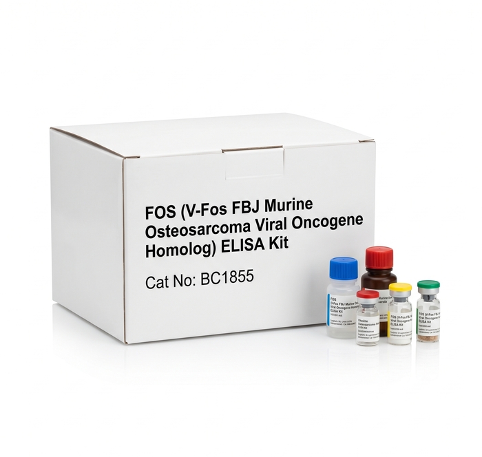 FOS ELISA Kit for Human Rat and Mouse Research 96 Tests