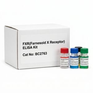 BC2763 FXR Farnesoid X Receptor ELISA Kit 96 Test