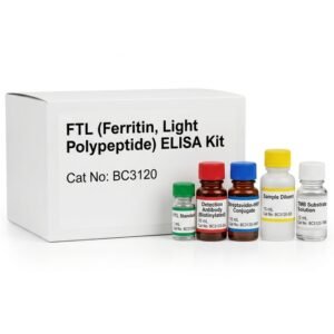 BC3120 FTL Ferritin ELISA Kit 96 Test