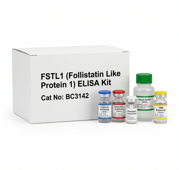 BC3142 FSTL1 ELISA Kit - High Sensitivity Assay