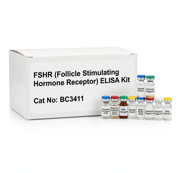 BC3411 FSHR ELISA Kit - Human and Rat