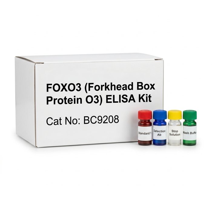 BC9208 FOXO3 ELISA Kit for Rat and Mouse 96 Tests
