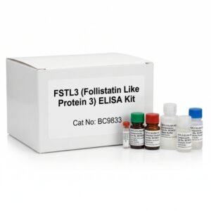 BC9833 FSTL3 ELISA Kit for Human and Mouse Research