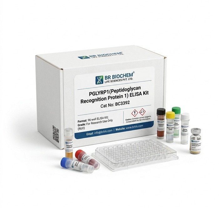 PGLYRP1 ELISA Kit BC3392 - Human and Mouse Detection