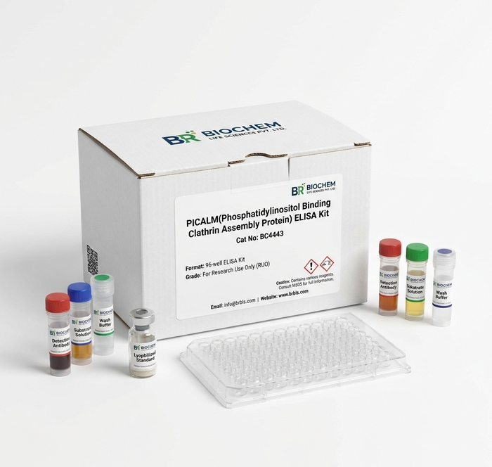 PICALM ELISA Kit Human and Rat 96 Test BC4443