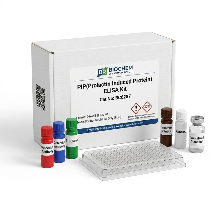 BC6287 PIP ELISA Kit for Human and Rat Research