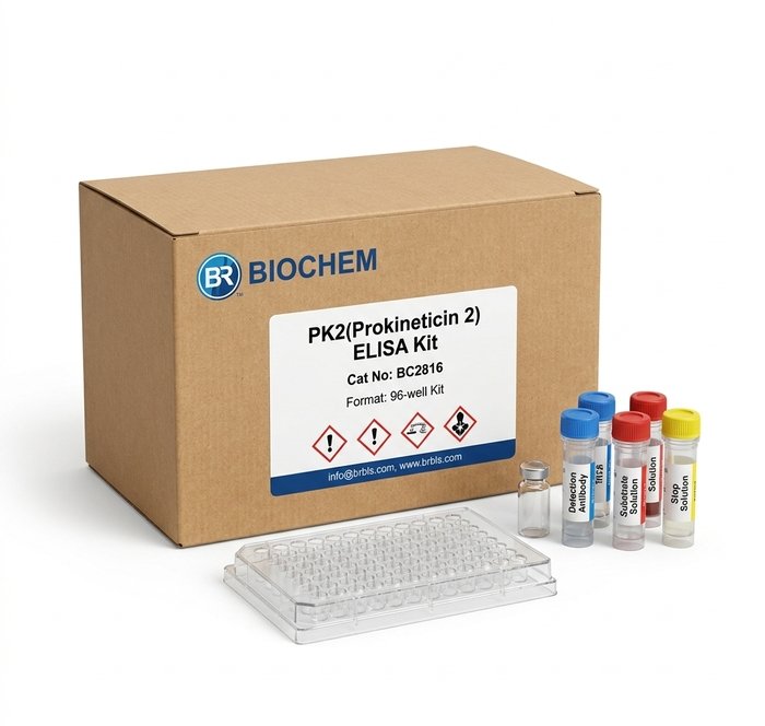 PLA2G2A ELISA Kit BC3752 Human Rat Mouse 96 Test