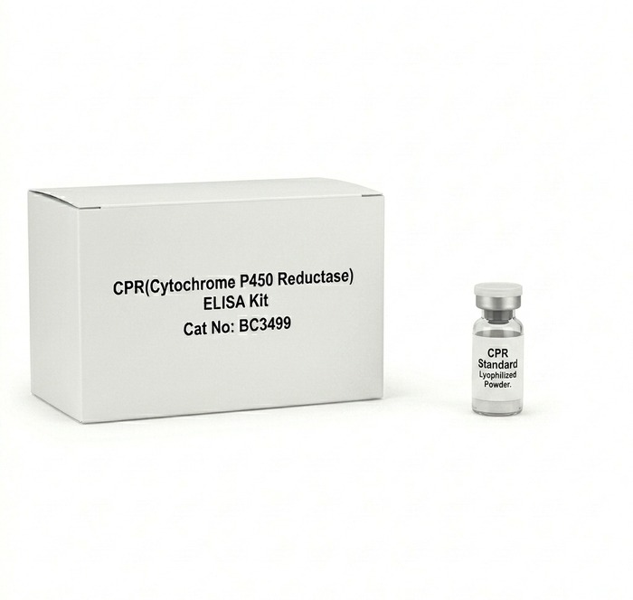 BC3499 CPR Cytochrome P450 Reductase ELISA Kit 96T