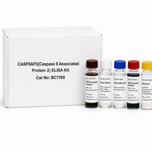 Rat CASP8AP2 ELISA Kit 96 Test BC7169