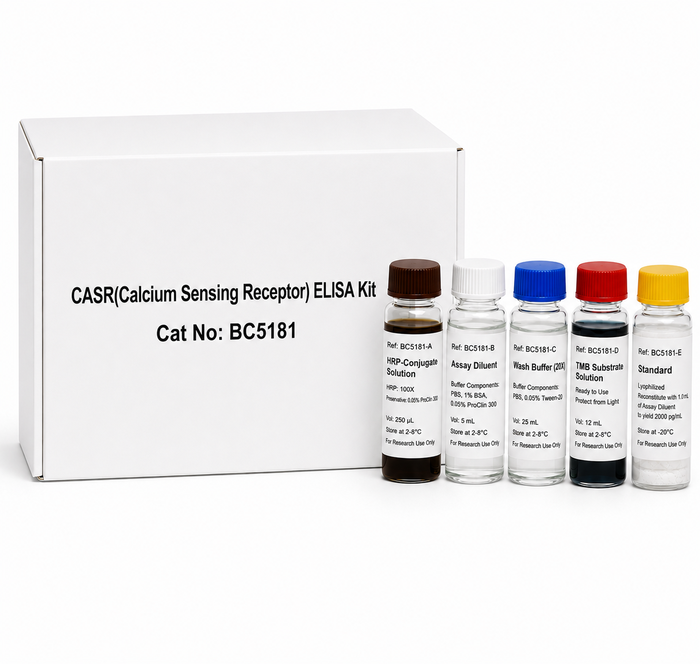 CASR Calcium Sensing Receptor ELISA Kit 96 Test