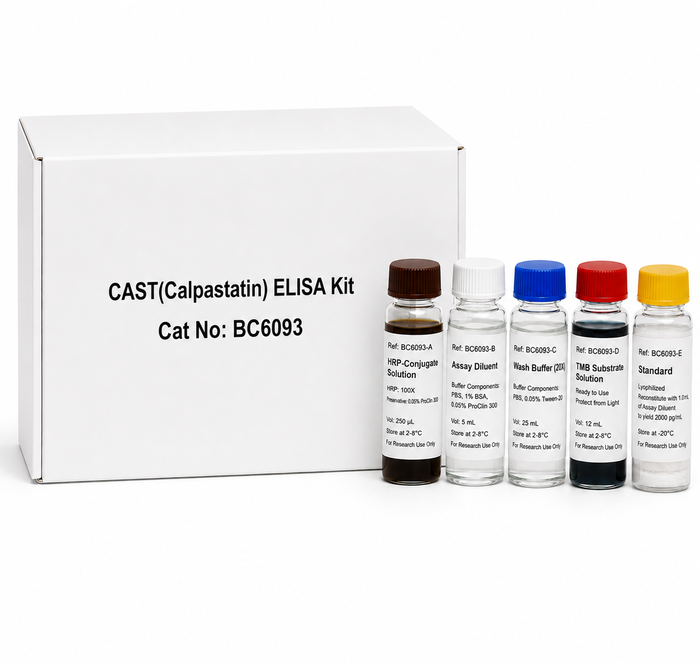 Mouse Calpastatin CAST ELISA Kit 96 Tests BC6093