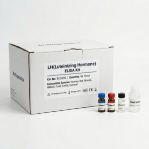 LH Luteinizing Hormone ELISA Kit - High Sensitivity Assay