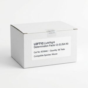 Mouse LEFTY2 ELISA Kit BC6946 96 Test