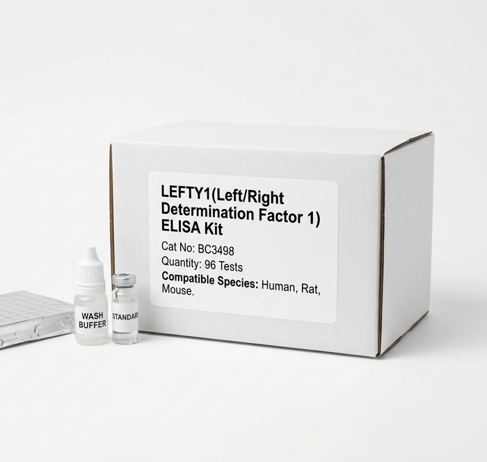 LEFTY1 ELISA Kit 96 Test Human Rat Mouse Detection