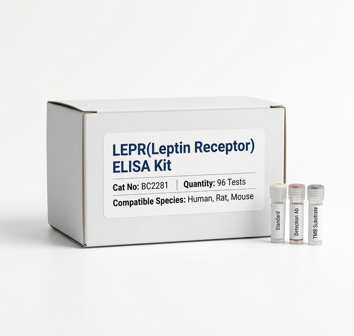 BC2281 LEPR Leptin Receptor ELISA Kit 96 Tests