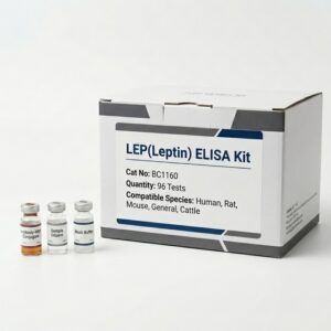 BC1160 Leptin ELISA Kit - Human Rat Mouse Rabbit Cattle