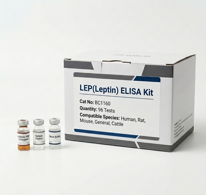 BC1160 Leptin ELISA Kit - Human Rat Mouse Rabbit Cattle