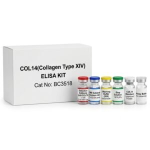 COL14 ELISA Kit, Human Collagen Detection, Laboratory Research Kits