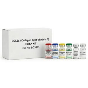 BC3613 Human COL6a3 ELISA Kit 96 Test