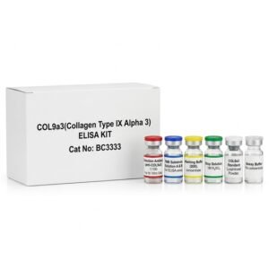 COL9A3 Human ELISA Kit 96 Tests BC3333