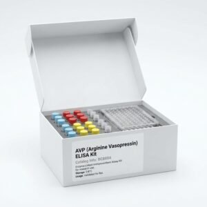 Rat AVP Arginine Vasopressin ELISA Kit 96 Test BC8884