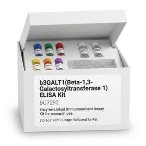 Rat b3GALT1 ELISA Kit - 96 Test BC7292