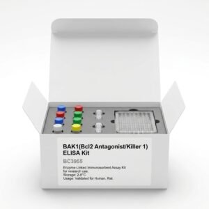 BAK1 ELISA Kit 96 Test Human Rat Bcl2 Antagonist Killer 1