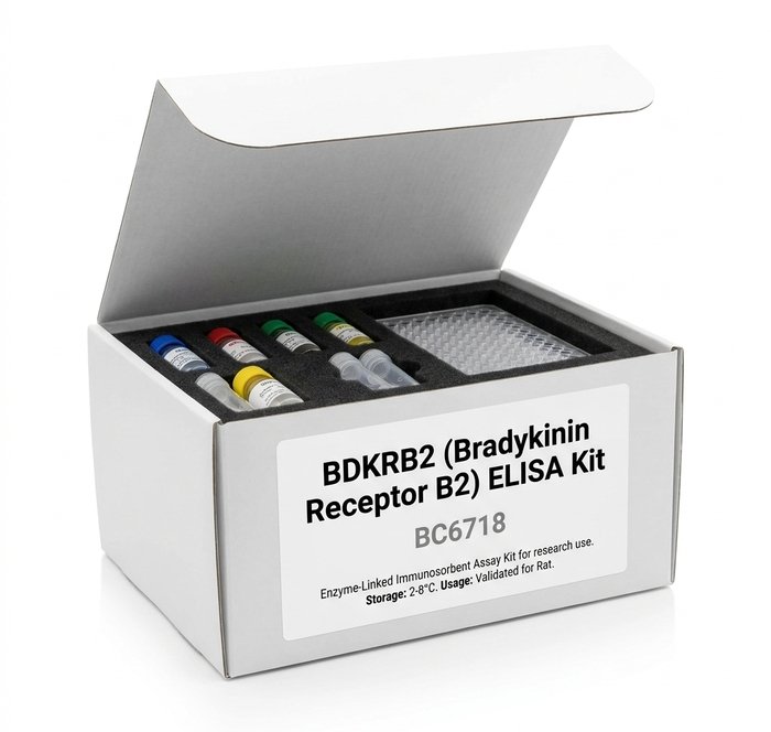 Rat BDKRB2 ELISA Kit 96 Test BC6718