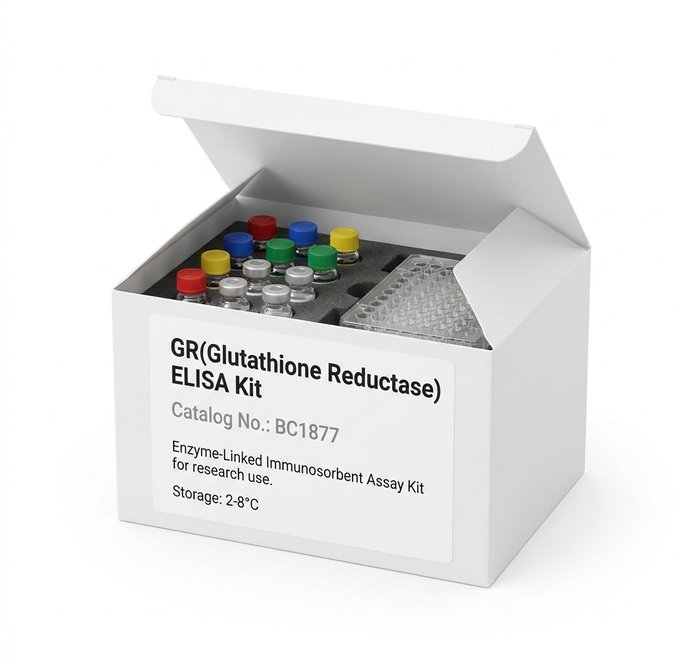 BC1877 Glutathione Reductase ELISA Kit 96 Test
