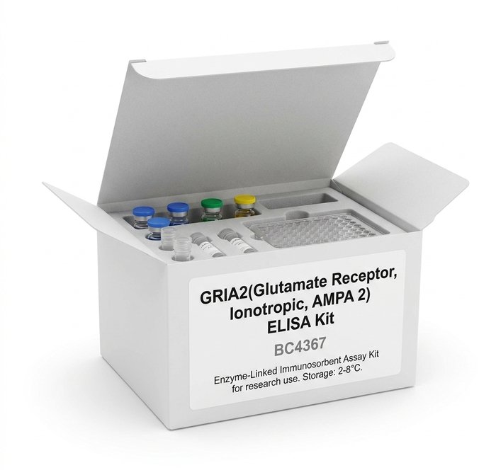 GRIA2 ELISA Kit - High Sensitivity Assay 96 Tests