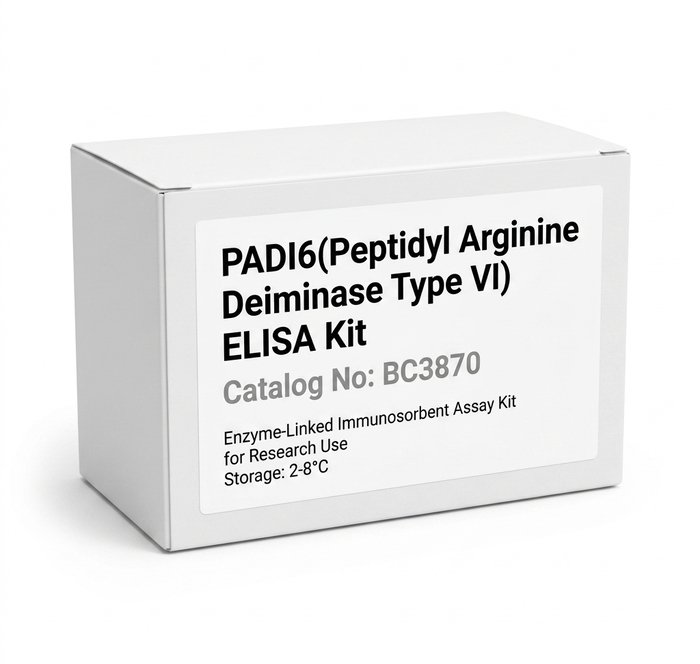 Immunoassay Kits